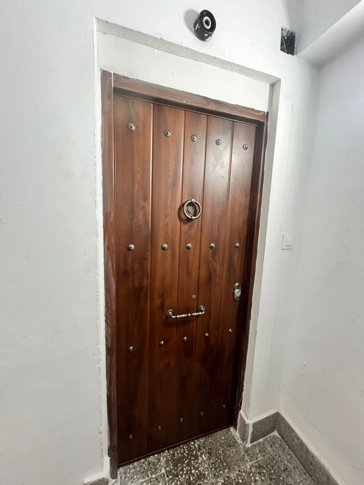 Wooden armoured door with the video entry unit above the lintel